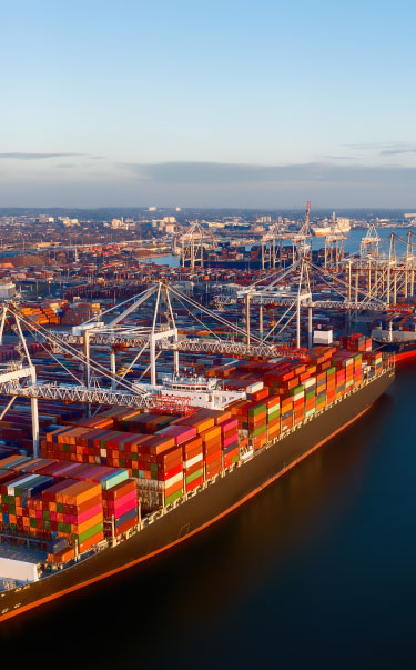 ajman offshore company formation